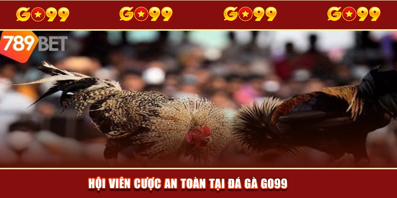 Hội viên cược an toàn tại Đá gà GO99